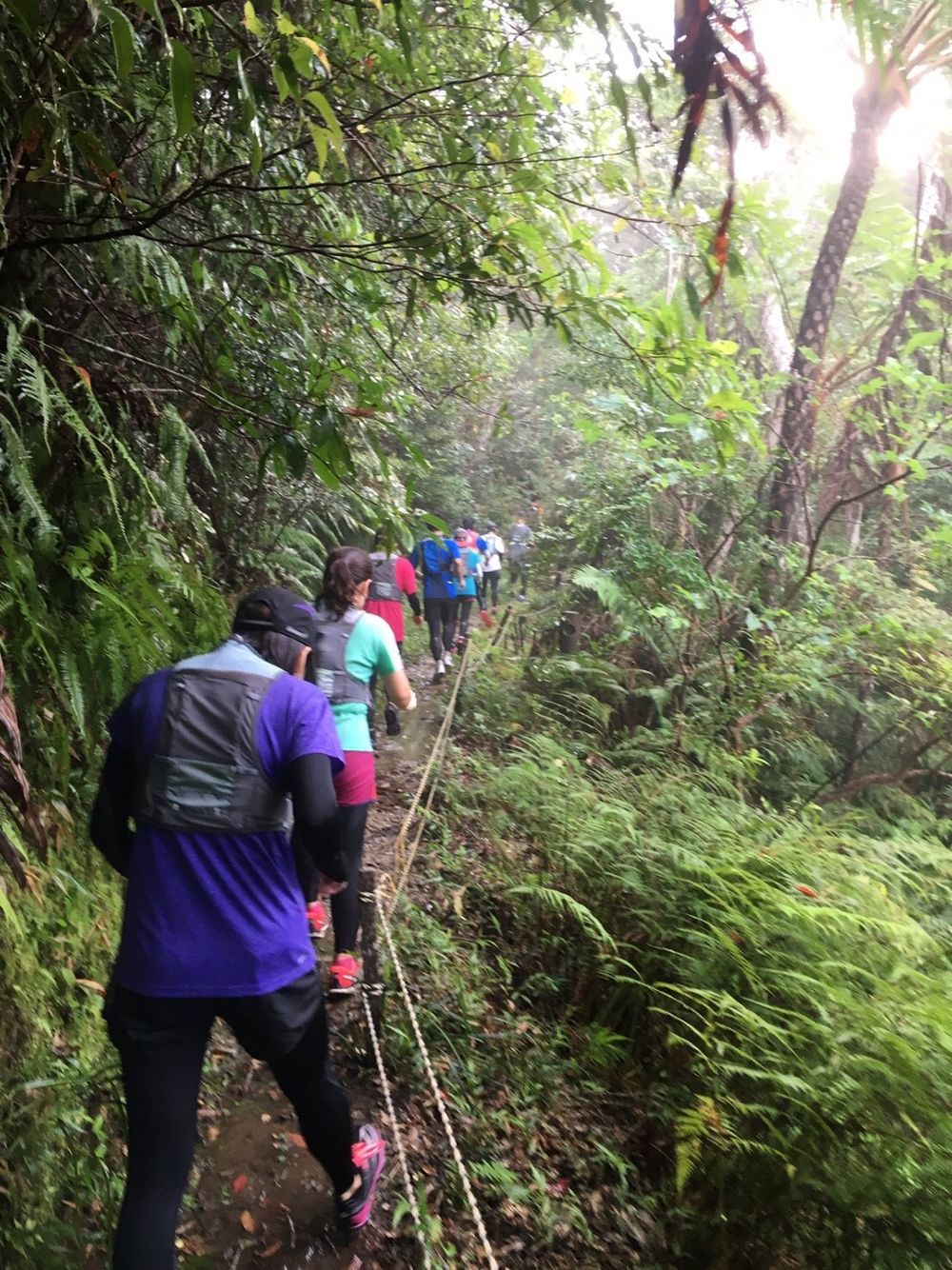 沖縄 名護岳の写真10