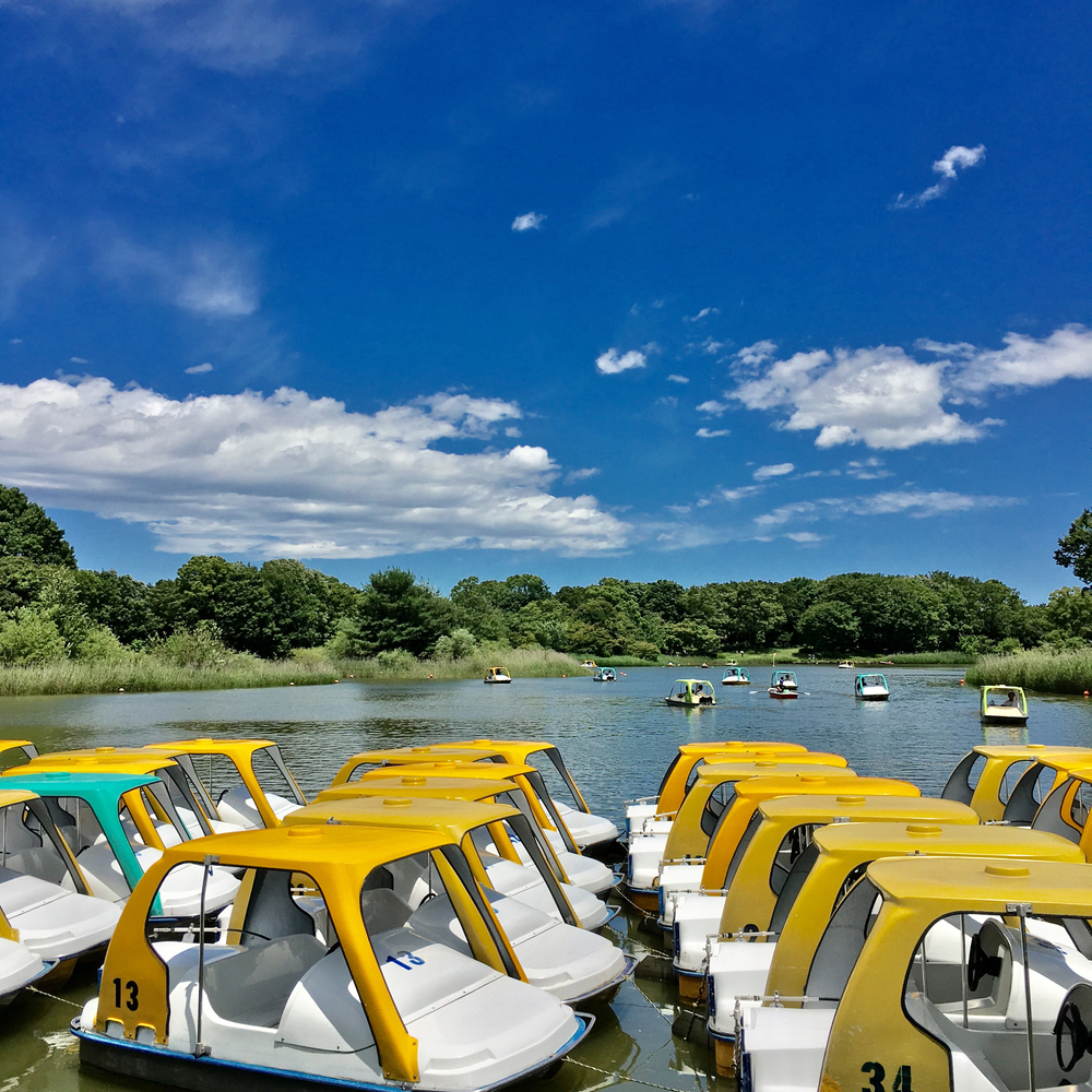 昭和記念公園 森のコースの写真4