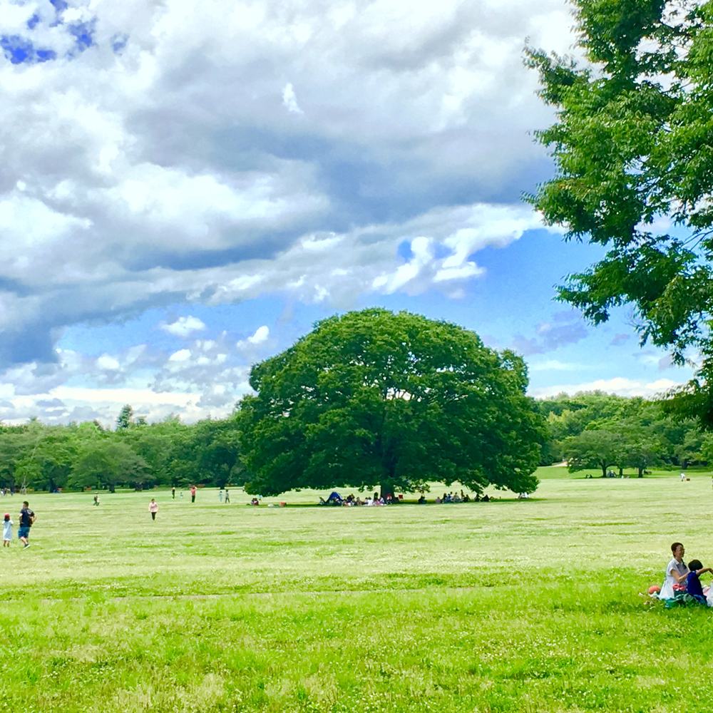 昭和記念公園 森のコースの写真8