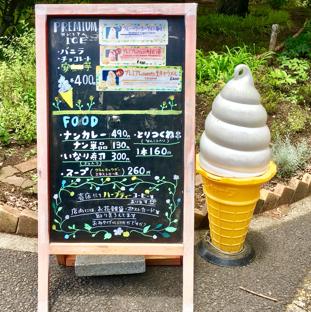 昭和記念公園 森のコースの写真10