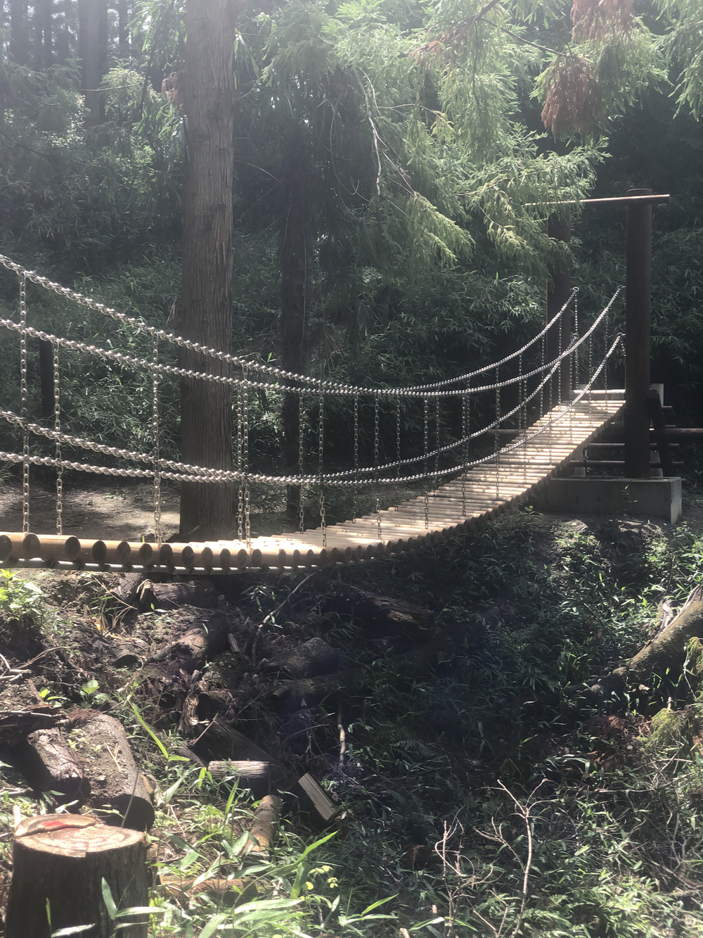 北摂エリア峠道と少しのトレイルの写真3