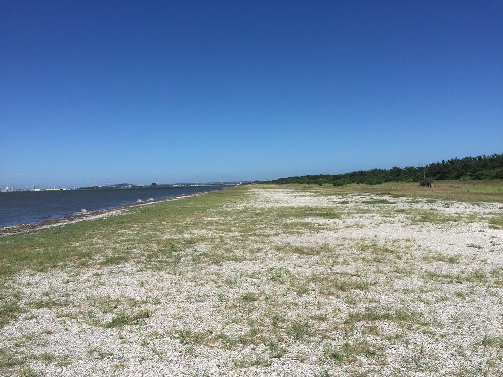 富津岬・ロード&砂浜コースの写真5