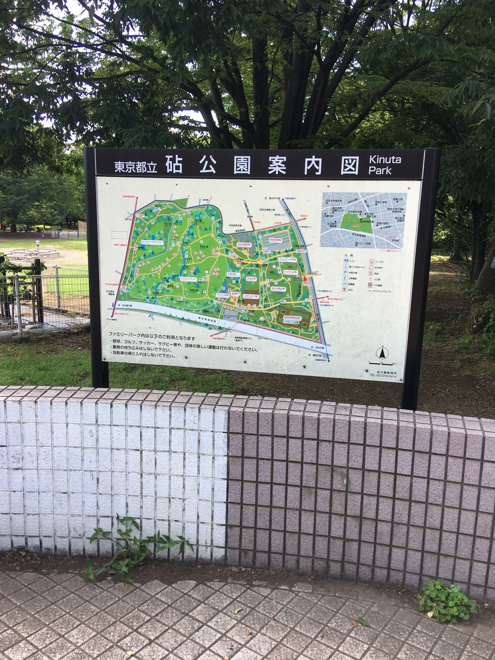 砧公園一周　木陰の道の写真6