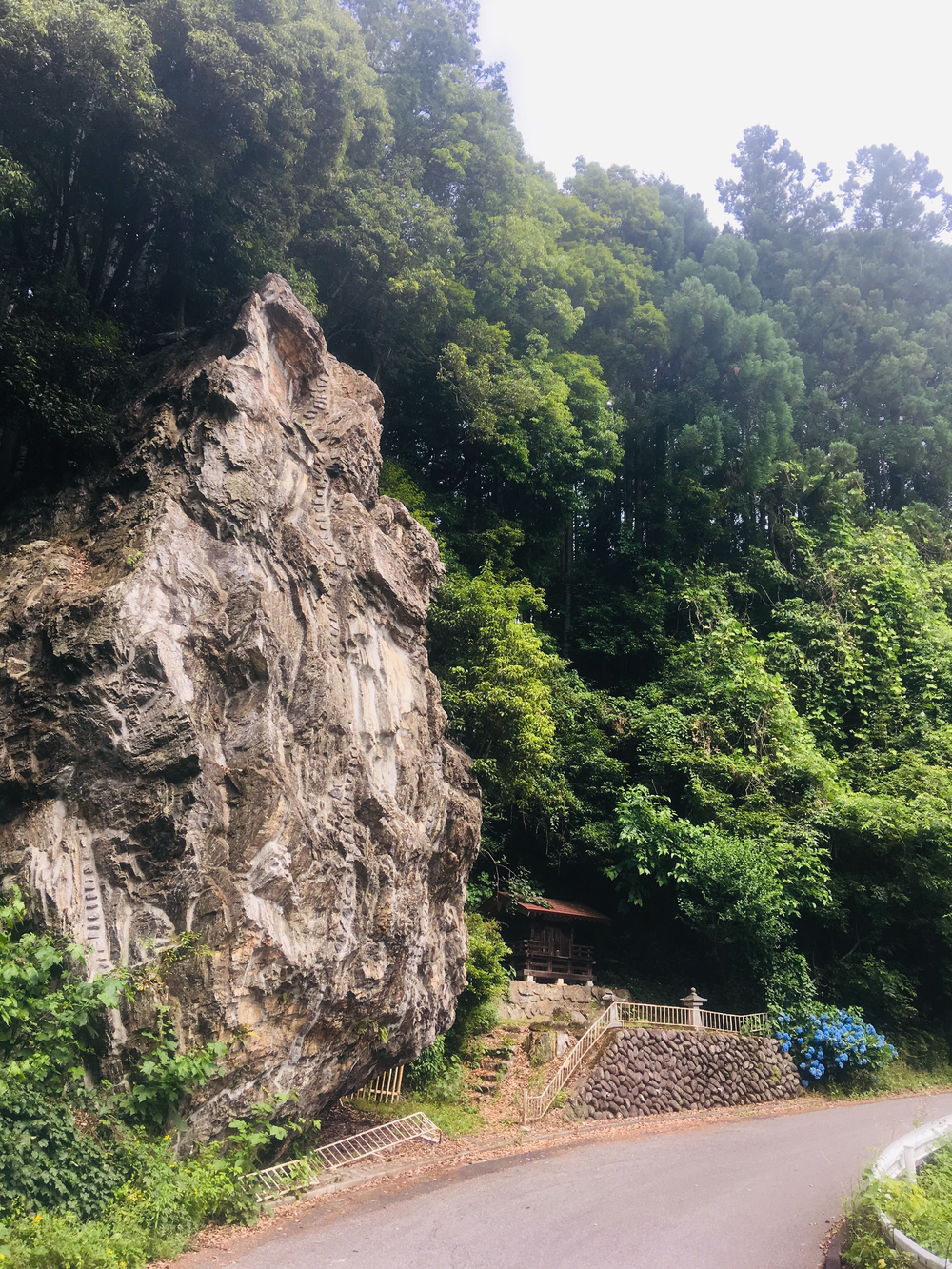 奥武蔵 峠走時々トレイル 贅沢コースの写真3