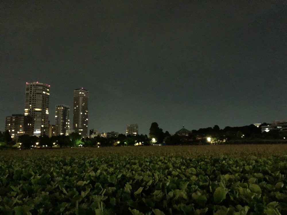 東京駅〜上野アメヤ横丁　夜の散歩RUNの写真3