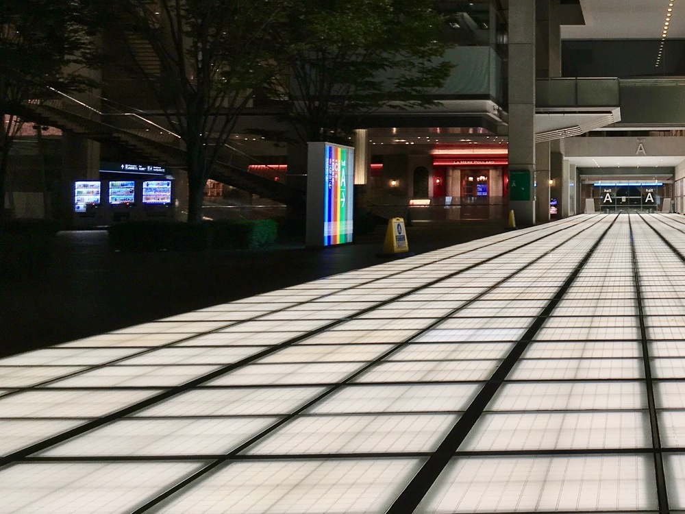 東京駅〜上野アメヤ横丁　夜の散歩RUNの写真4
