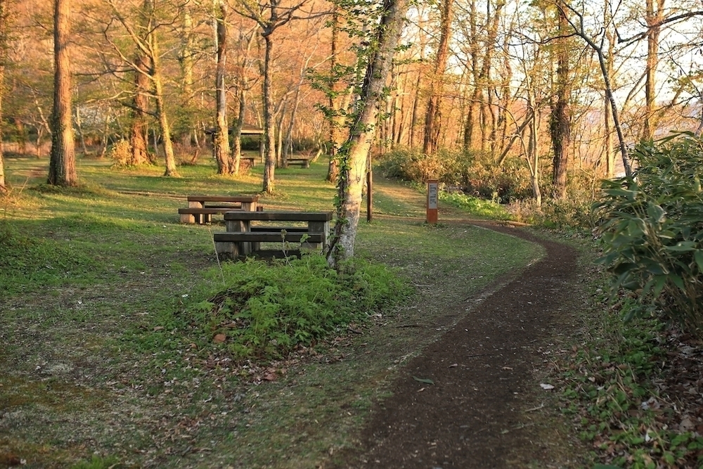 休暇村園地・ウッドチップの散策路の写真4