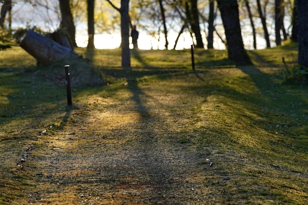 休暇村園地・ウッドチップの散策路の写真5