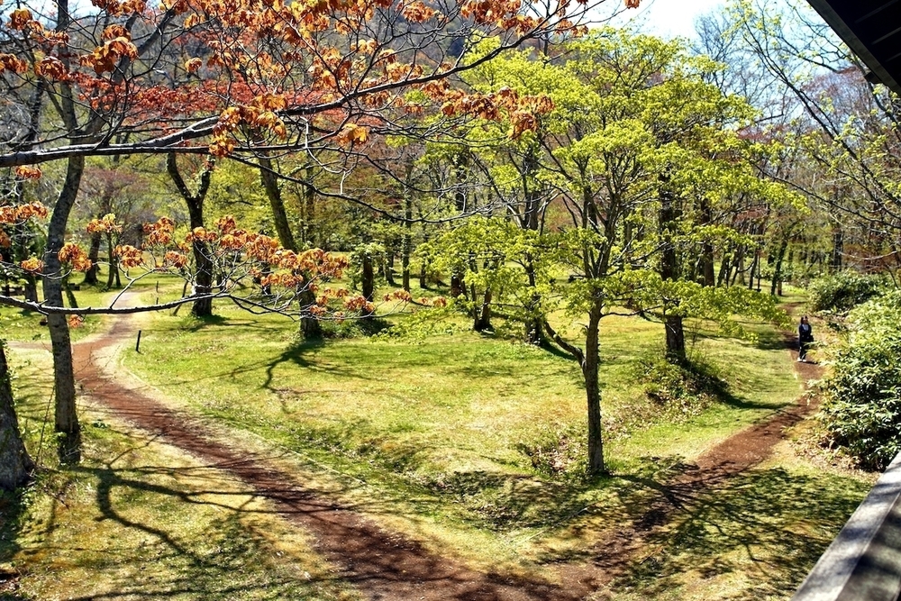 休暇村園地・ウッドチップの散策路の写真6