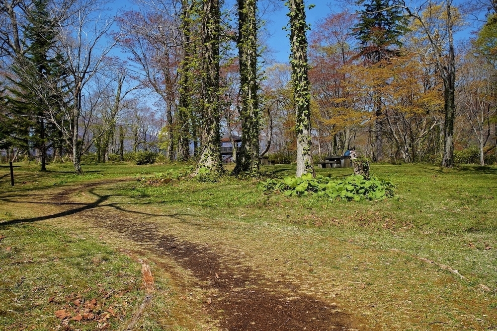 休暇村園地・ウッドチップの散策路の写真7