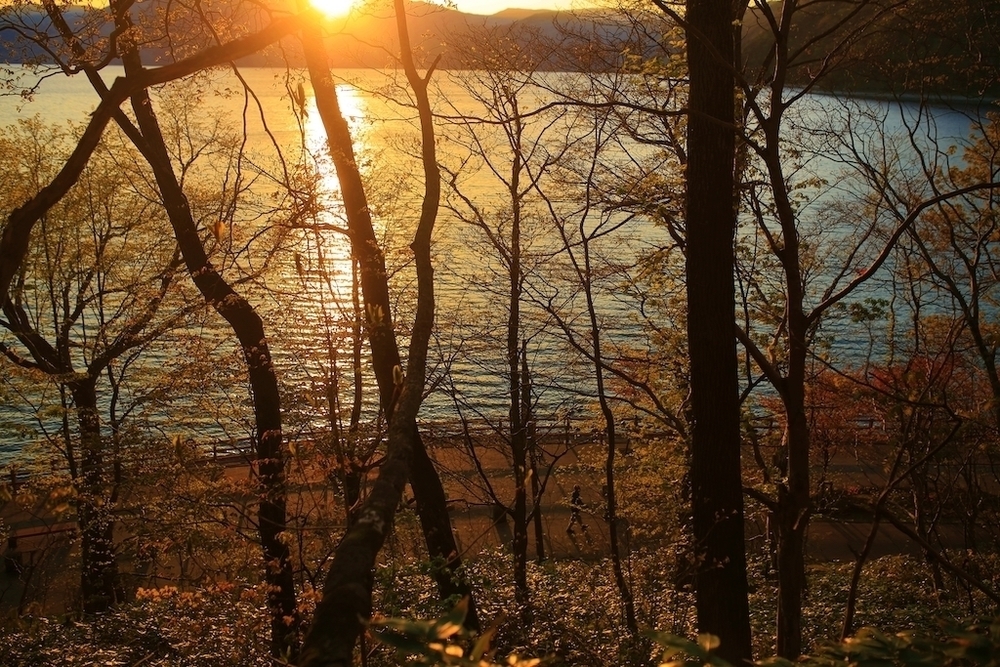水質日本一・支笏湖畔ウォーターフロントコースの写真7