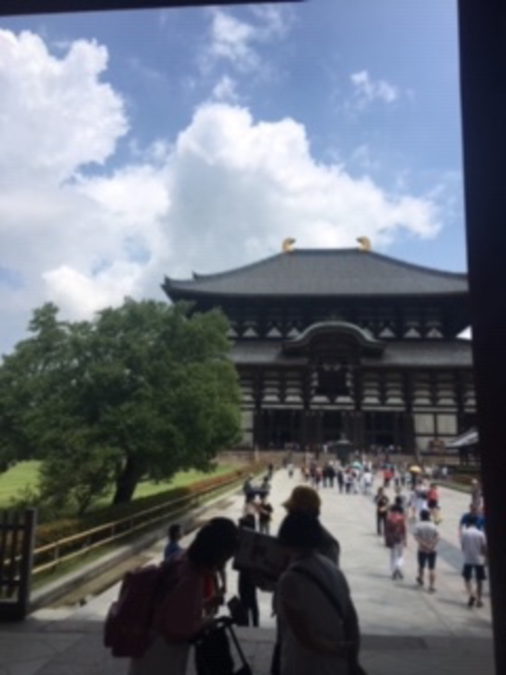 奈良・世界遺産・銭湯♨Runの写真6