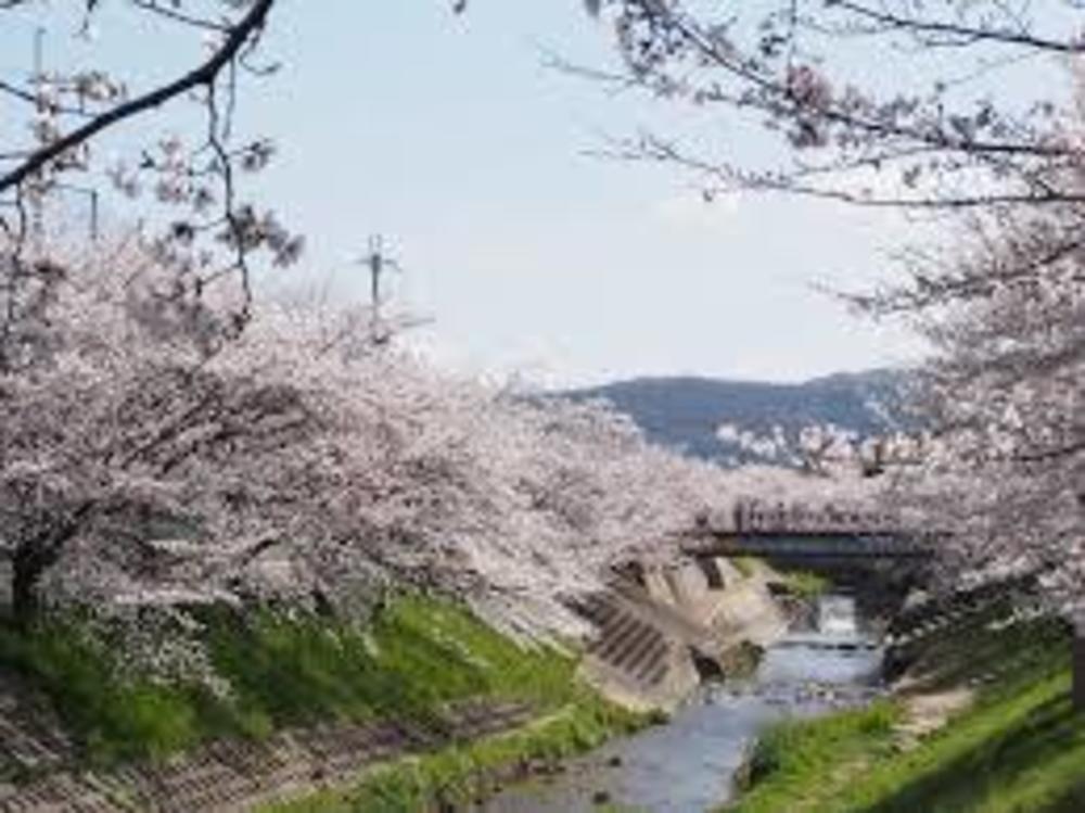 奈良・世界遺産・銭湯♨Runの写真9