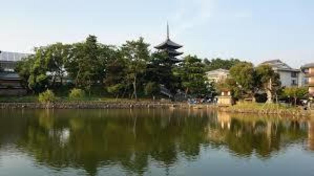 奈良・世界遺産・銭湯♨Runの写真10