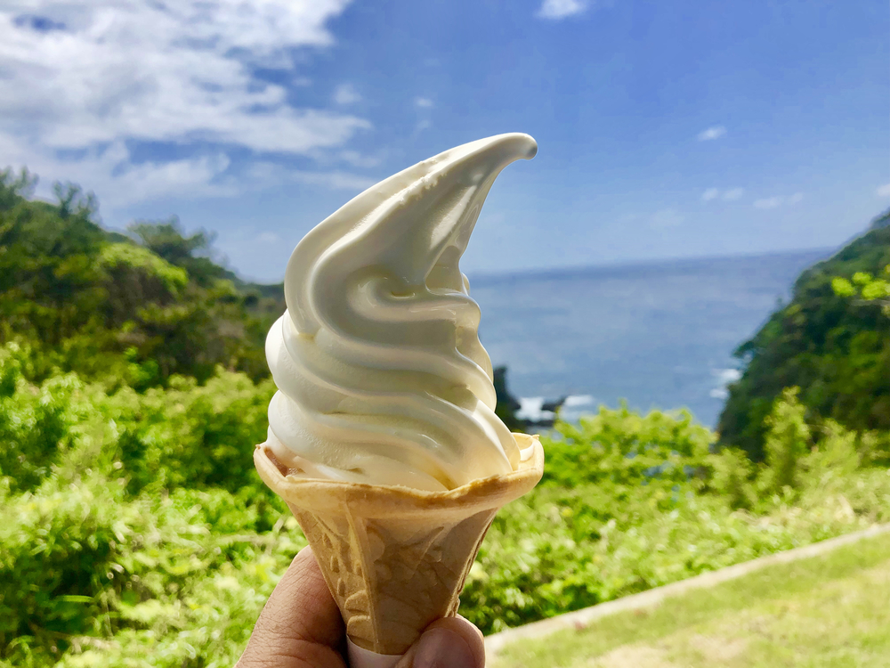 南伊豆町半周ランの写真5