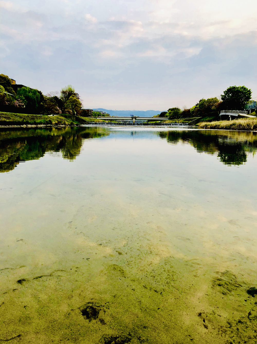 朝の鴨川と京都御所の写真4