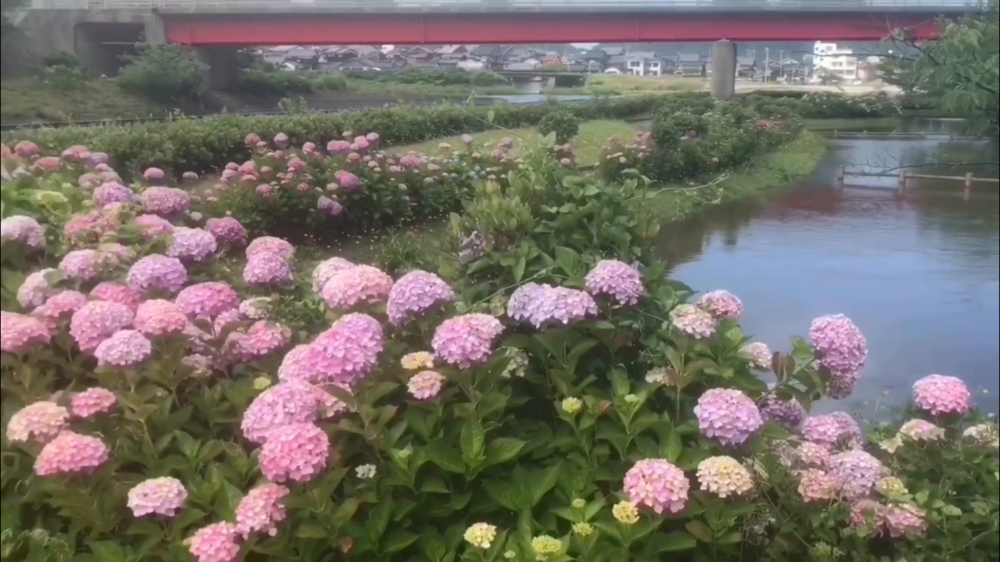 海、山、農村、田舎の雰囲気まるごと！の写真7