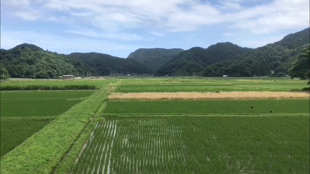 海、山、農村、田舎の雰囲気まるごと！の写真10