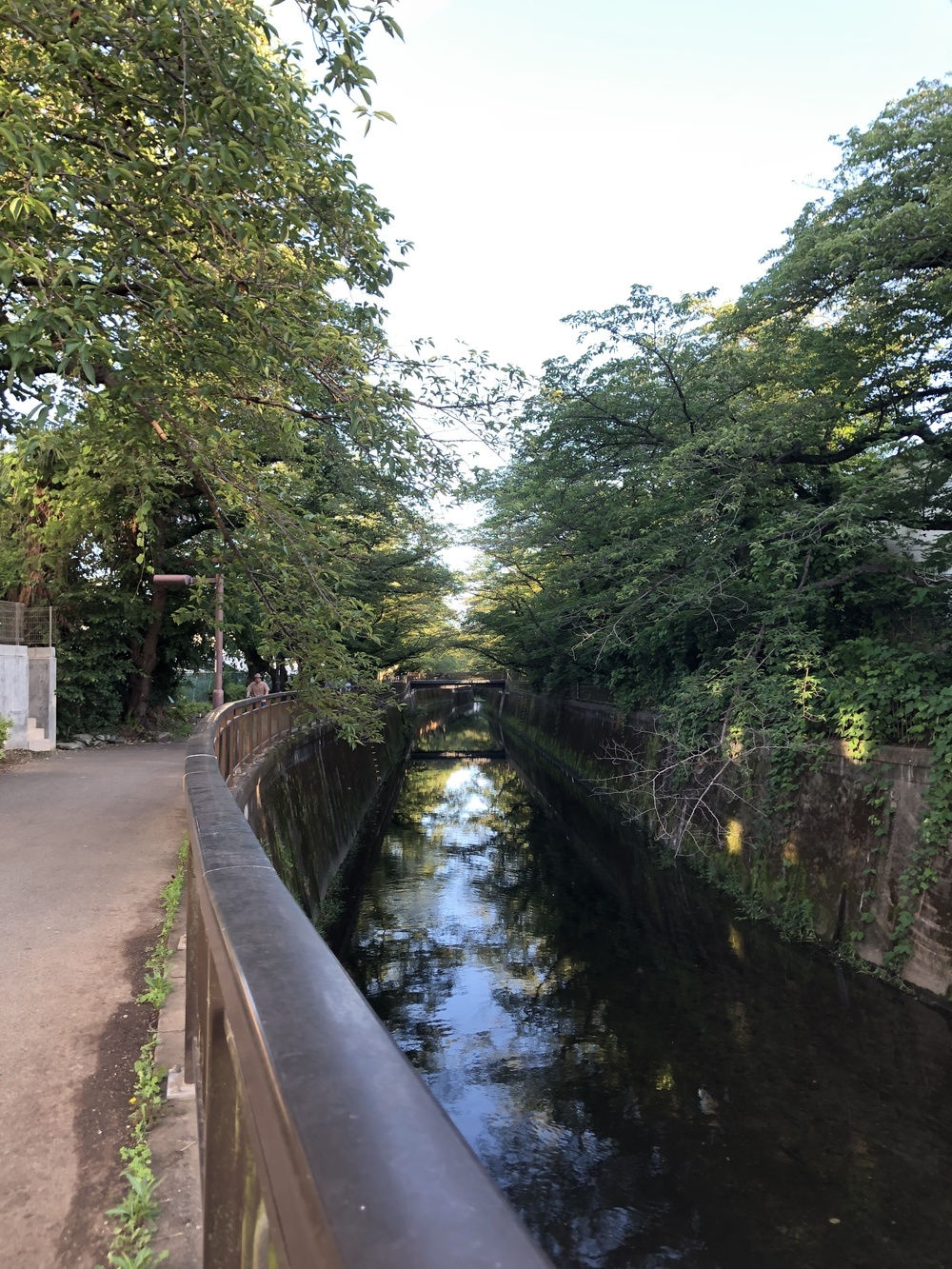 鳥になりたいの写真4