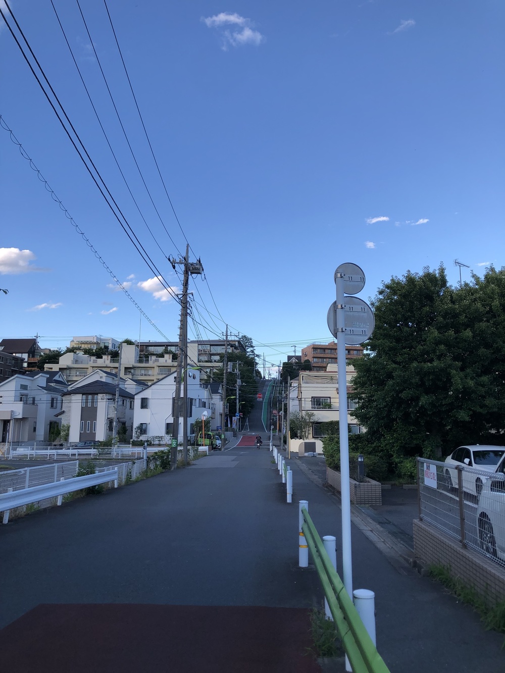 鳥になりたいの写真5