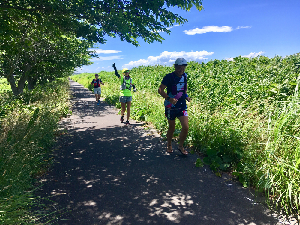 【佐倉ラベンダーランド&臼井城址公園あじさいラン】の写真3