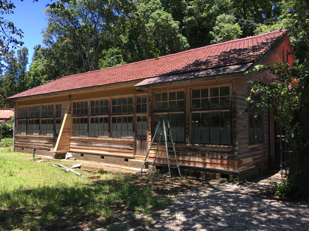 【佐倉ラベンダーランド&臼井城址公園あじさいラン】の写真4