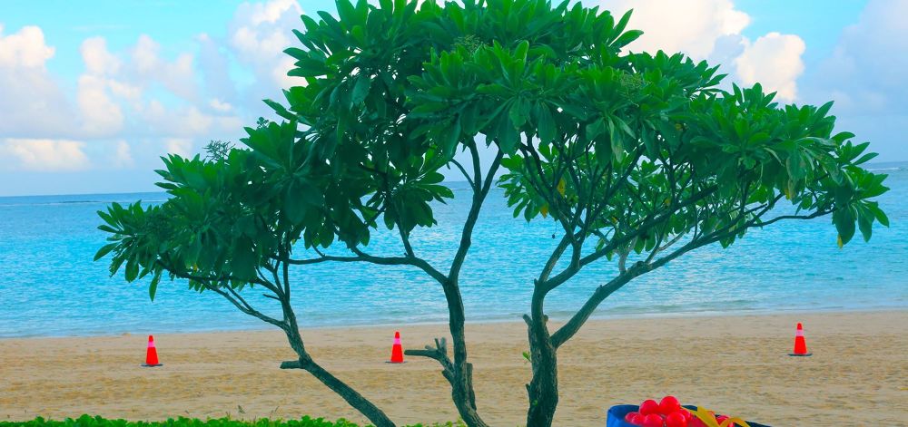 七珍万宝・イパオビーチ〜ガンビーチの写真3