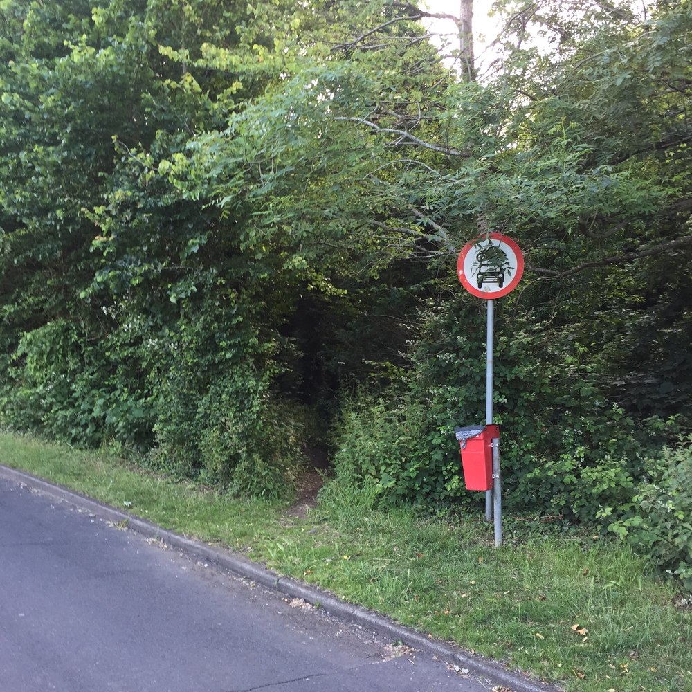 キャバシャムの公園を走るの写真3