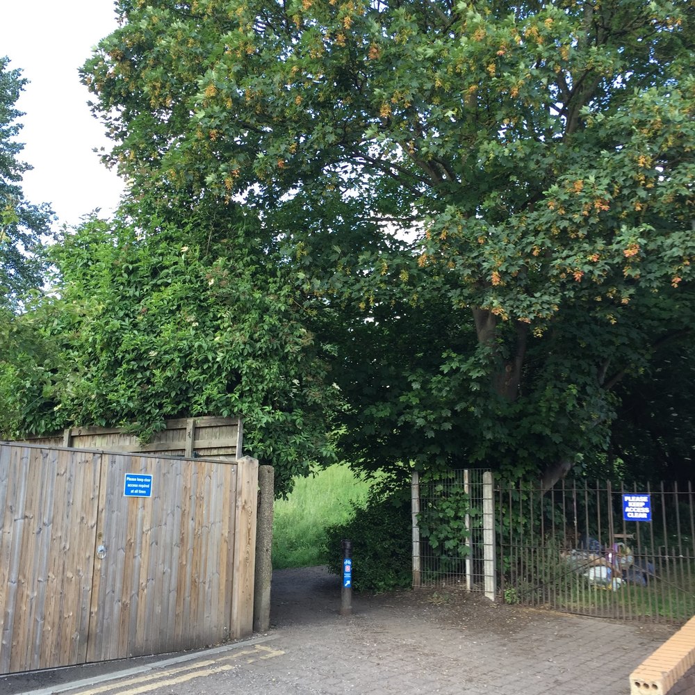 キャバシャムの公園を走るの写真4