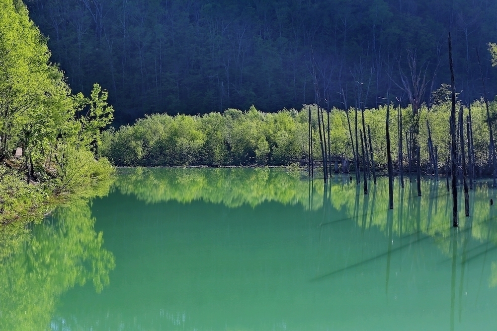 絶景の宝庫・白金周回コースの写真3