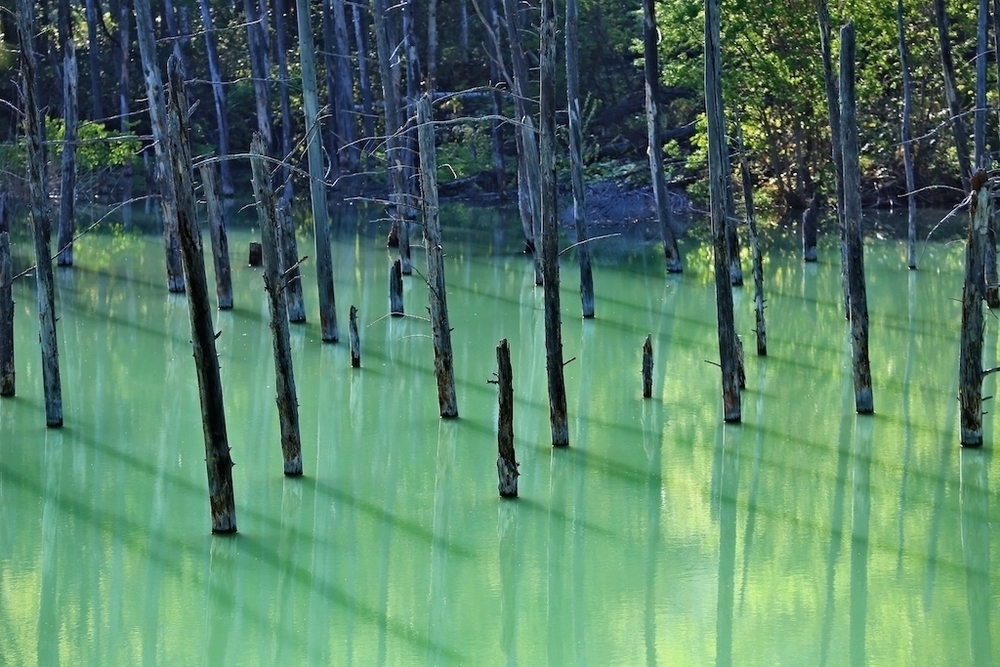 絶景の宝庫・白金周回コースの写真4