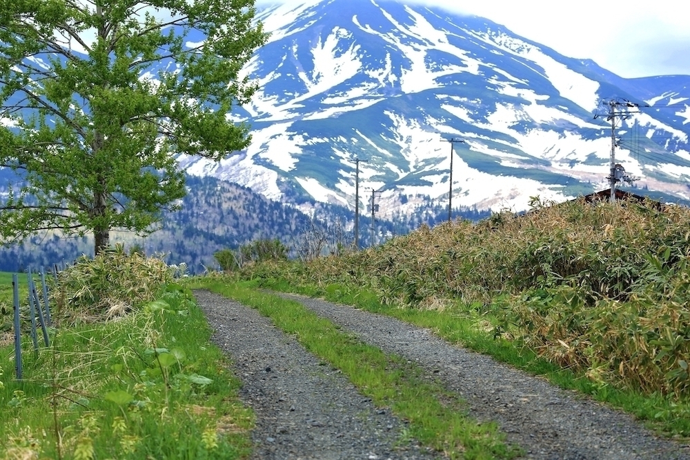 絶景の宝庫・白金周回コースの写真7