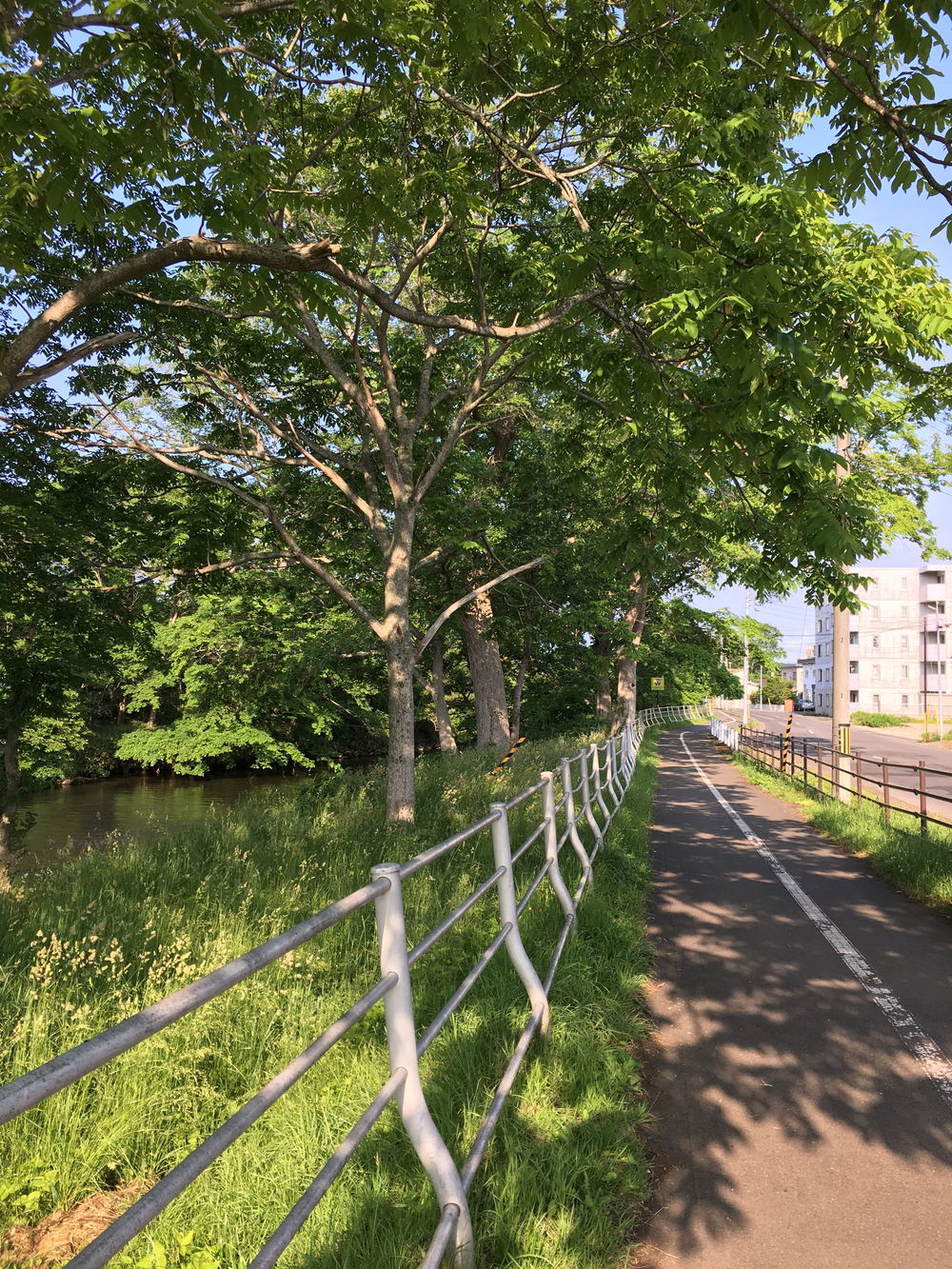 千歳市出張ラン(北海道)の写真3