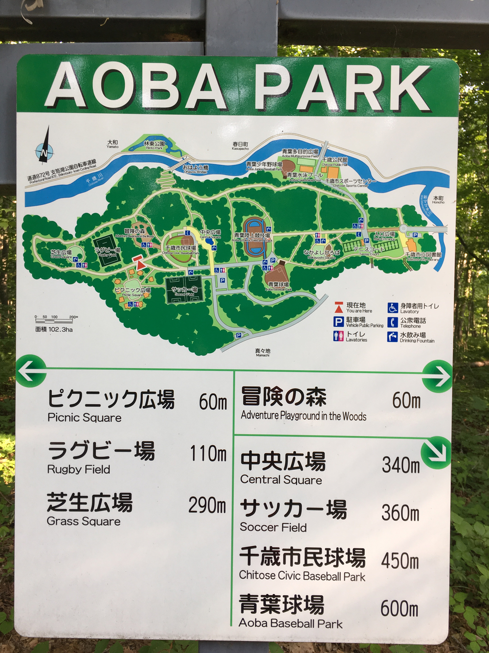 千歳市出張ラン(北海道)の写真4