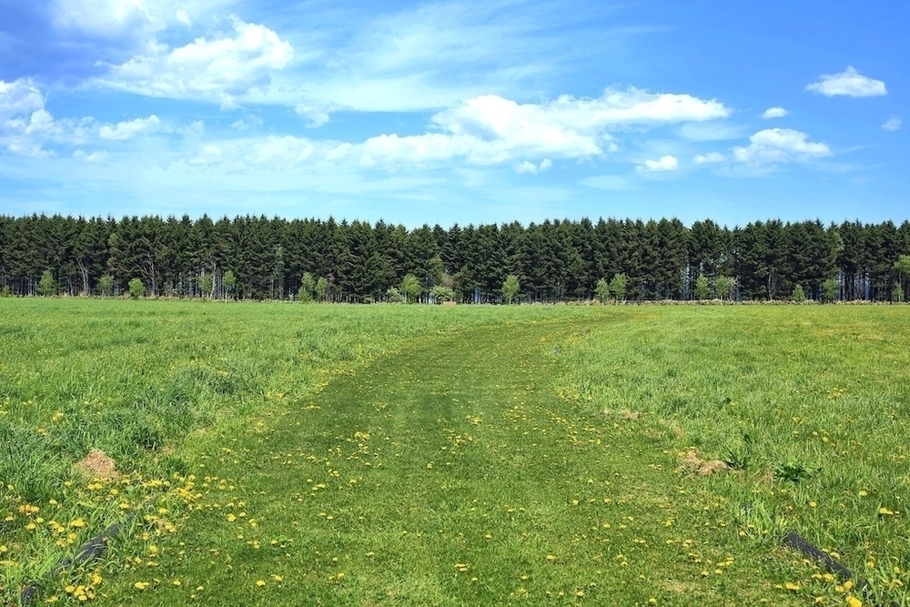 オホーツク流氷公園の美しいクロカンコースの写真4