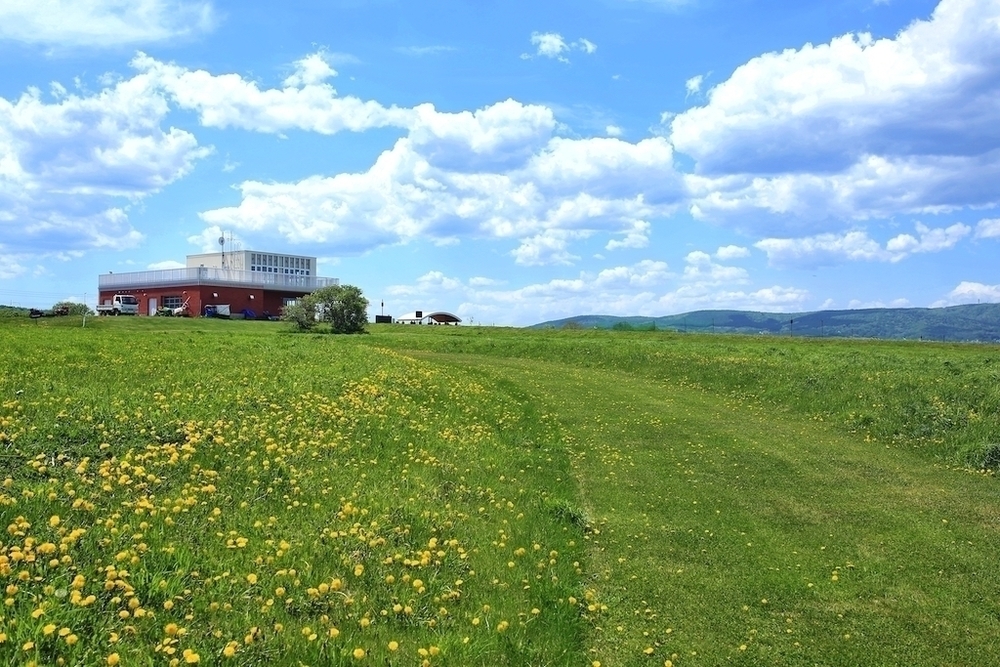 オホーツク流氷公園の美しいクロカンコースの写真5