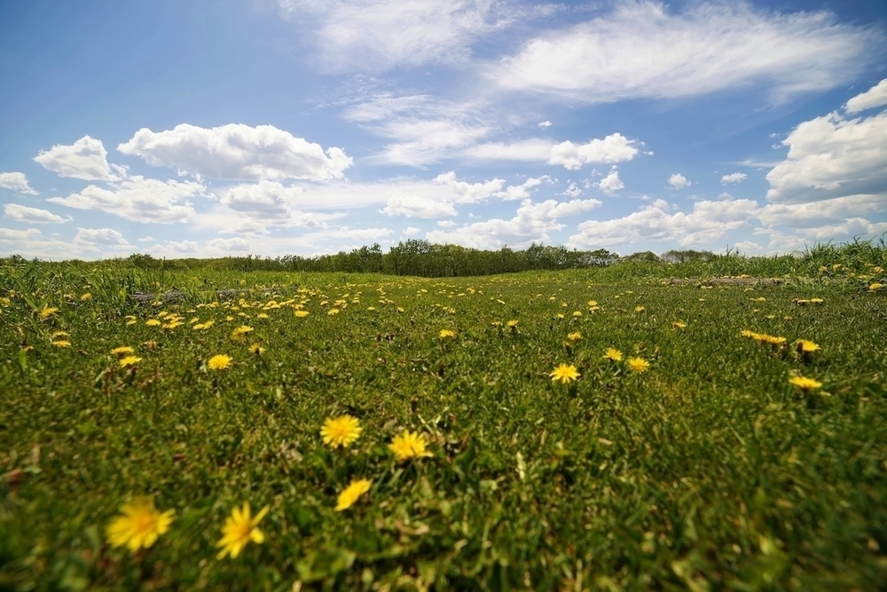 オホーツク流氷公園の美しいクロカンコースの写真6