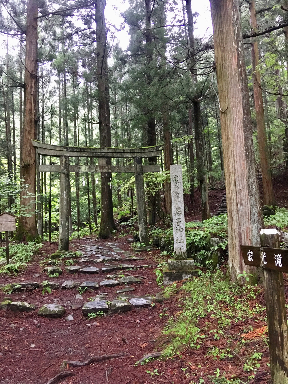 世界遺産の中を贅沢に♫の写真4