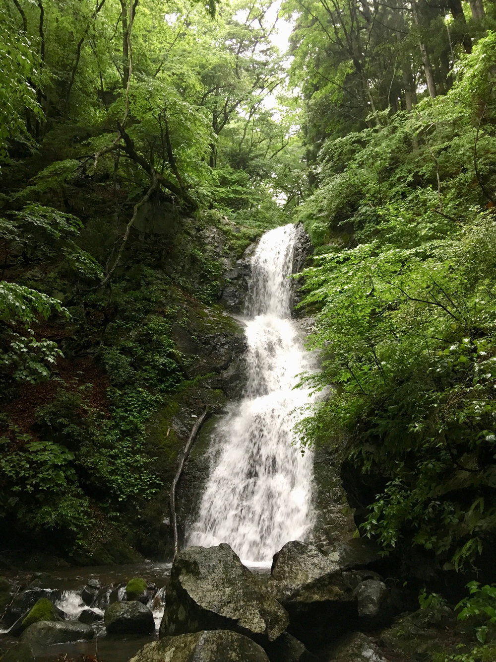 世界遺産の中を贅沢に♫の写真5