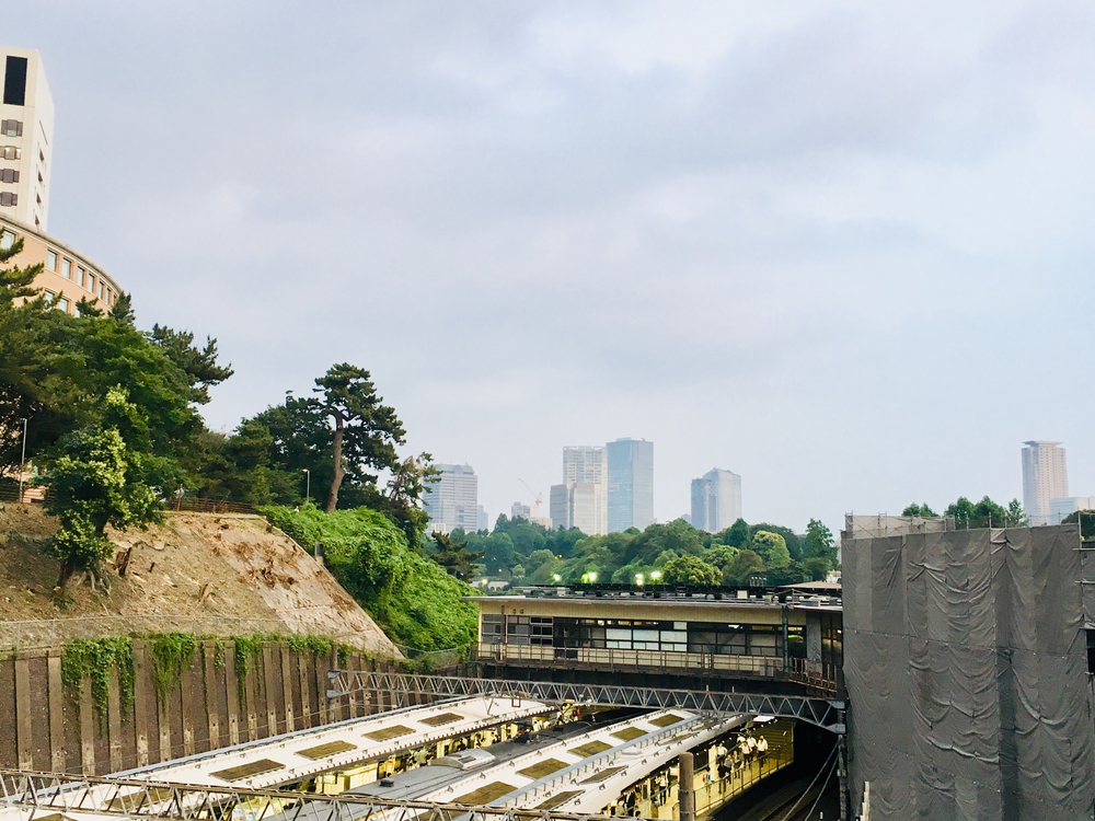 出張夜ラン 走ってみたかった新宿高層ビルの谷間の写真3