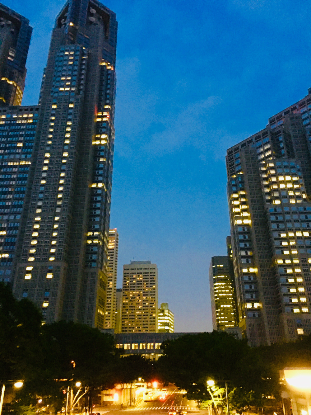 出張夜ラン 走ってみたかった新宿高層ビルの谷間の写真6