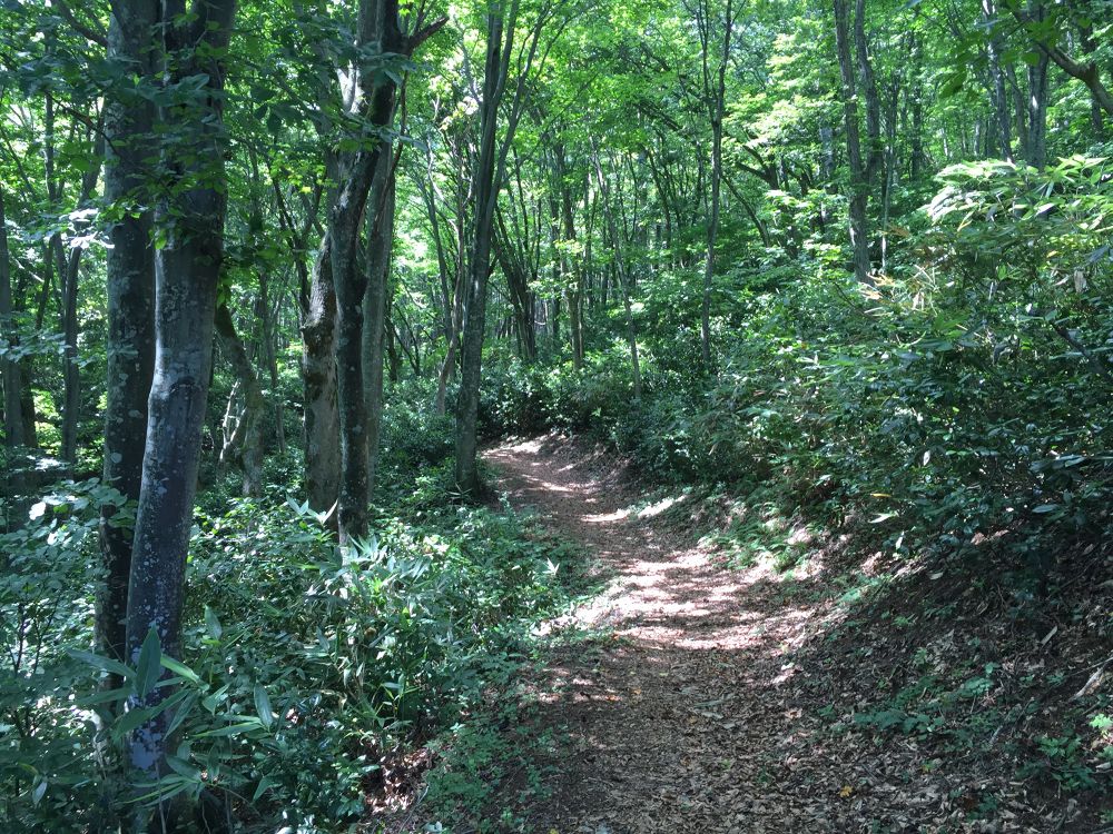 トレイルランナーなら一度は走っておきたい「斑尾高原トレイル（斑尾山コース）23km」の写真3