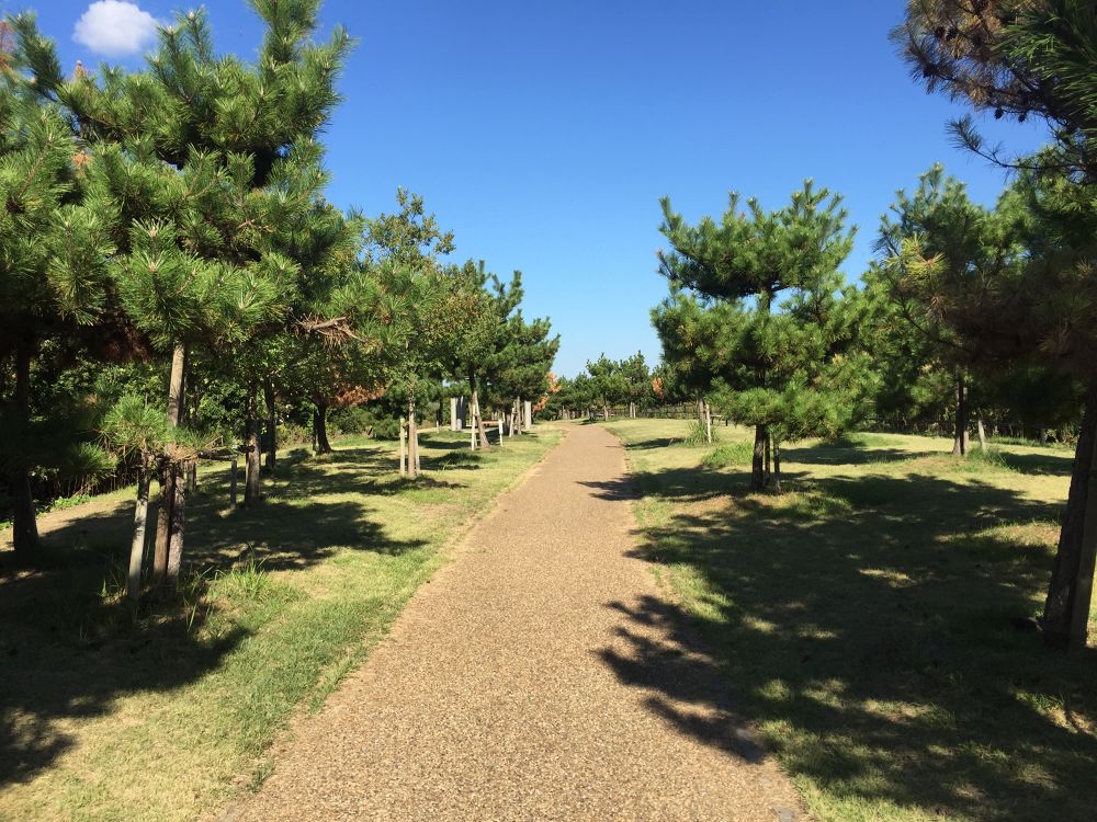 潮風を感じるパークラン「兵庫県立淡路佐野運動公園」の写真4