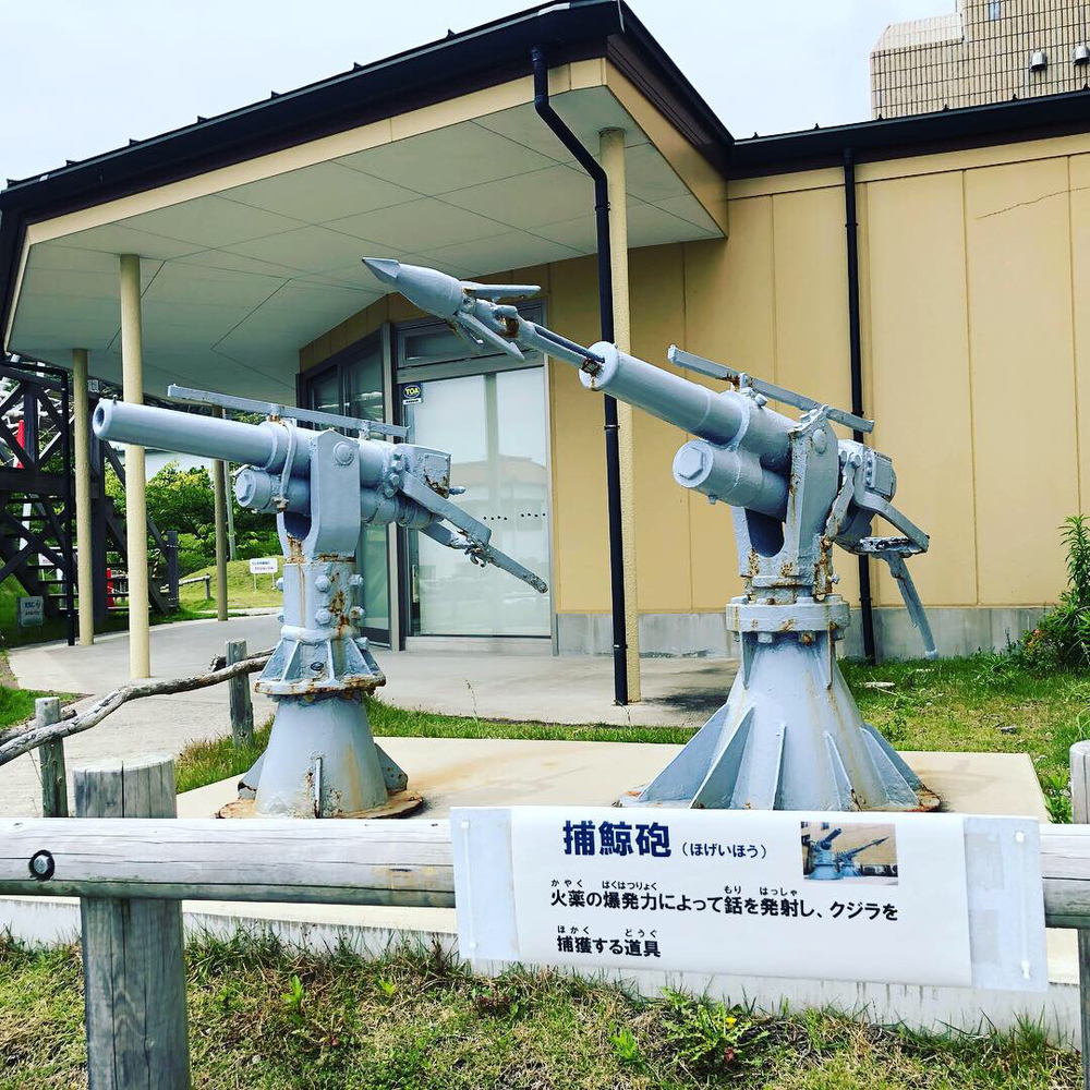 鴨川館山横断ラン🏃‍♂️💨の写真3