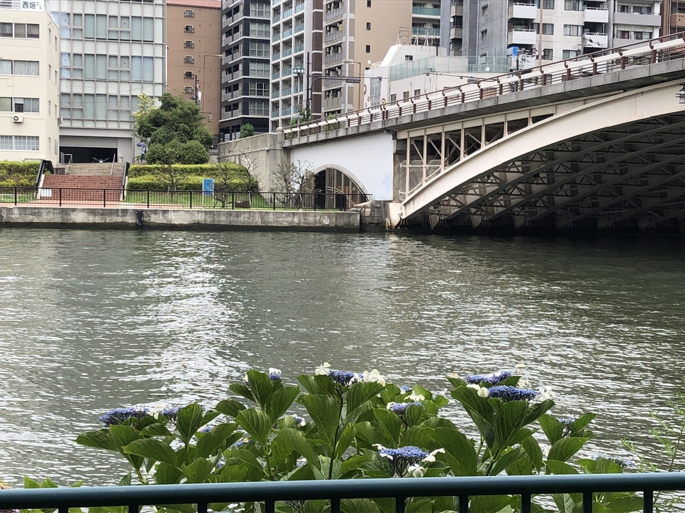 梅田から中之島公園を経由してマイドームおおさかの写真3