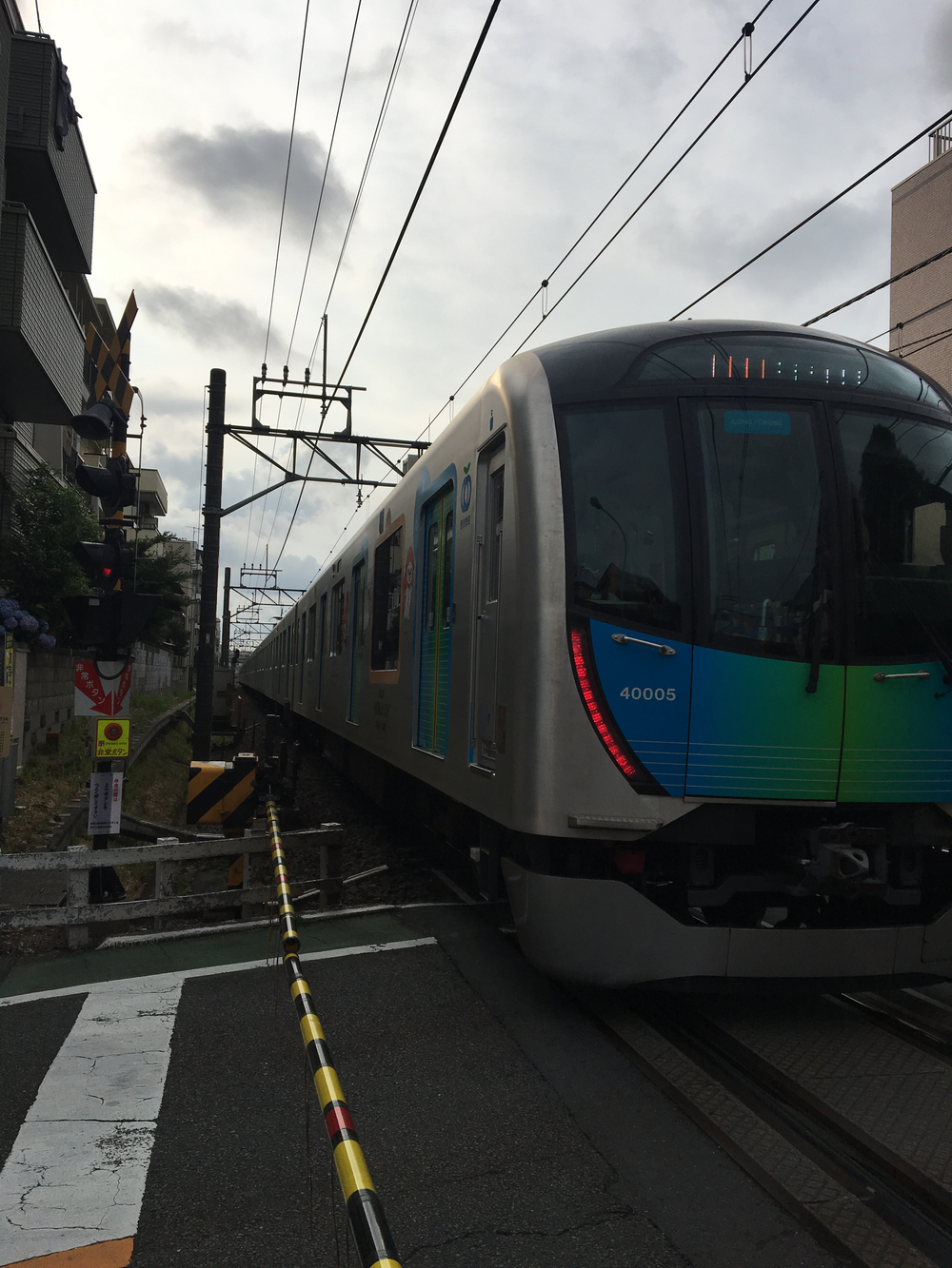 俺の武蔵野湧水弁天巡り、LSD28kmの写真6