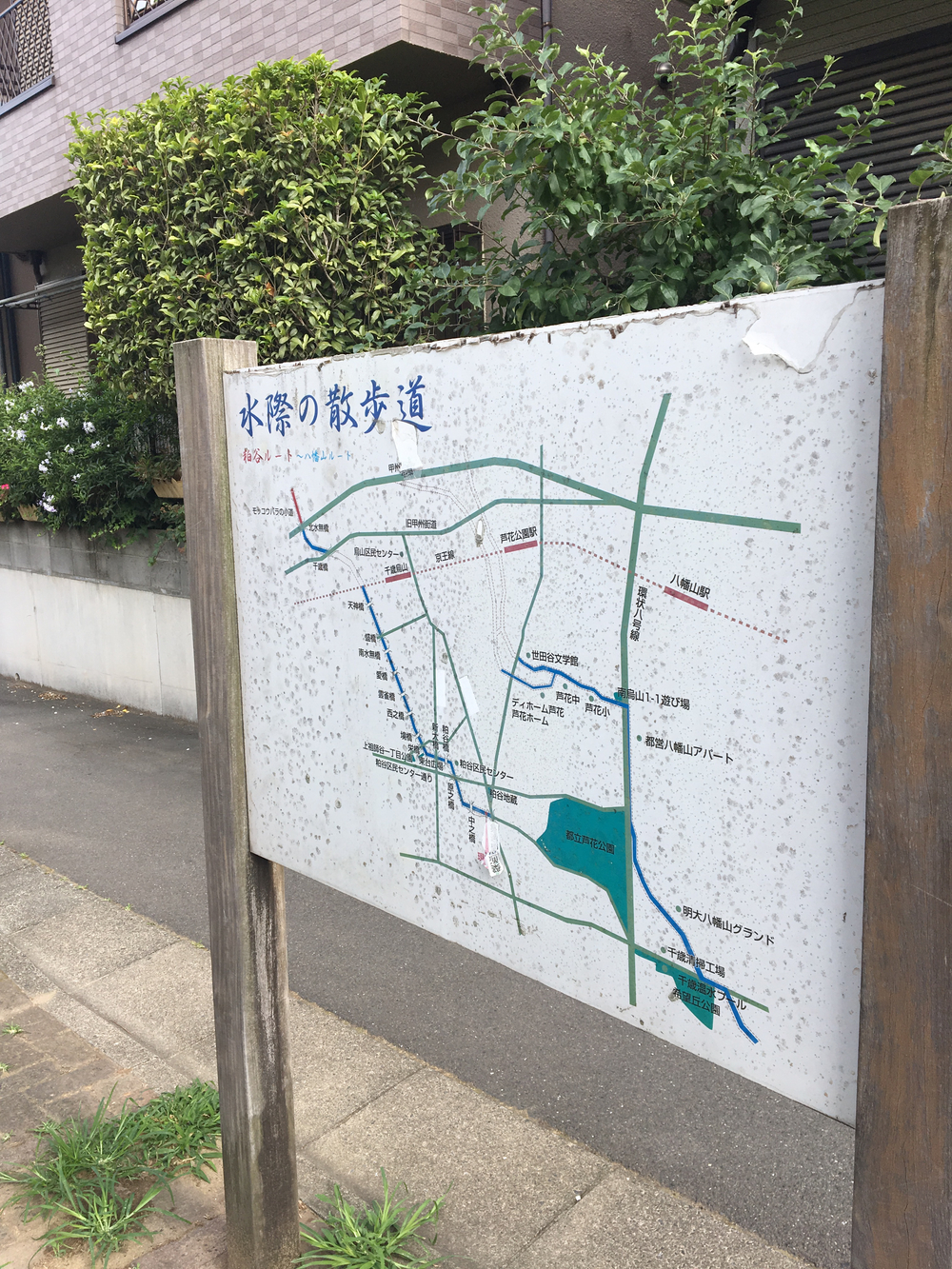 俺の武蔵野湧水弁天巡り、LSD28kmの写真13