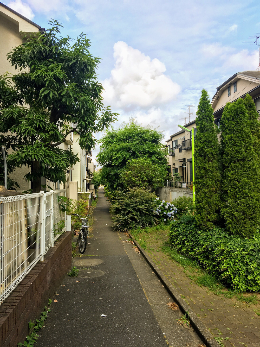 俺の武蔵野湧水弁天巡り、LSD28kmの写真14