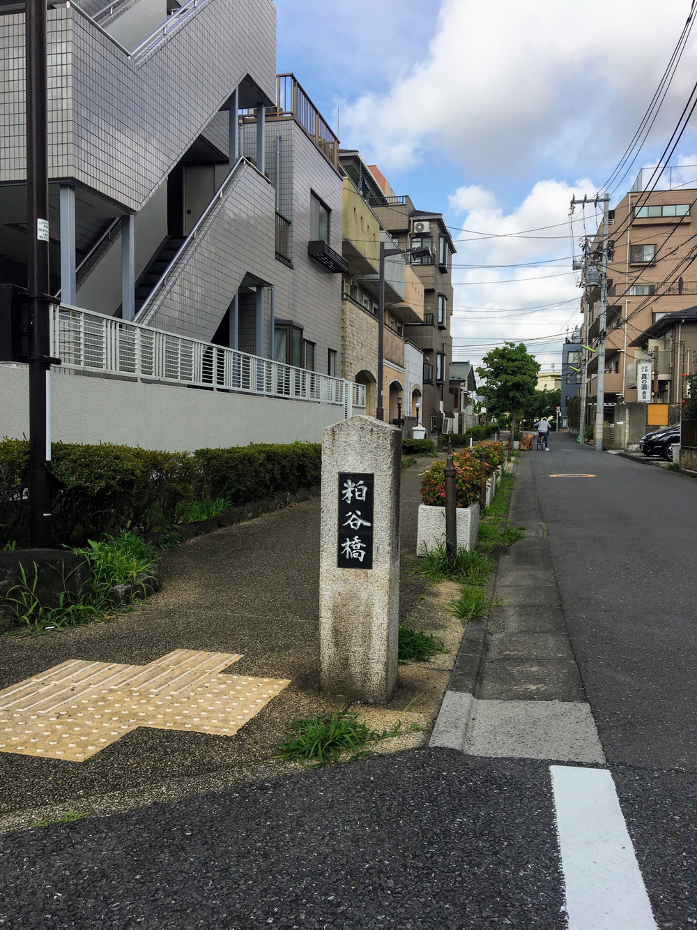 俺の武蔵野湧水弁天巡り、LSD28kmの写真17