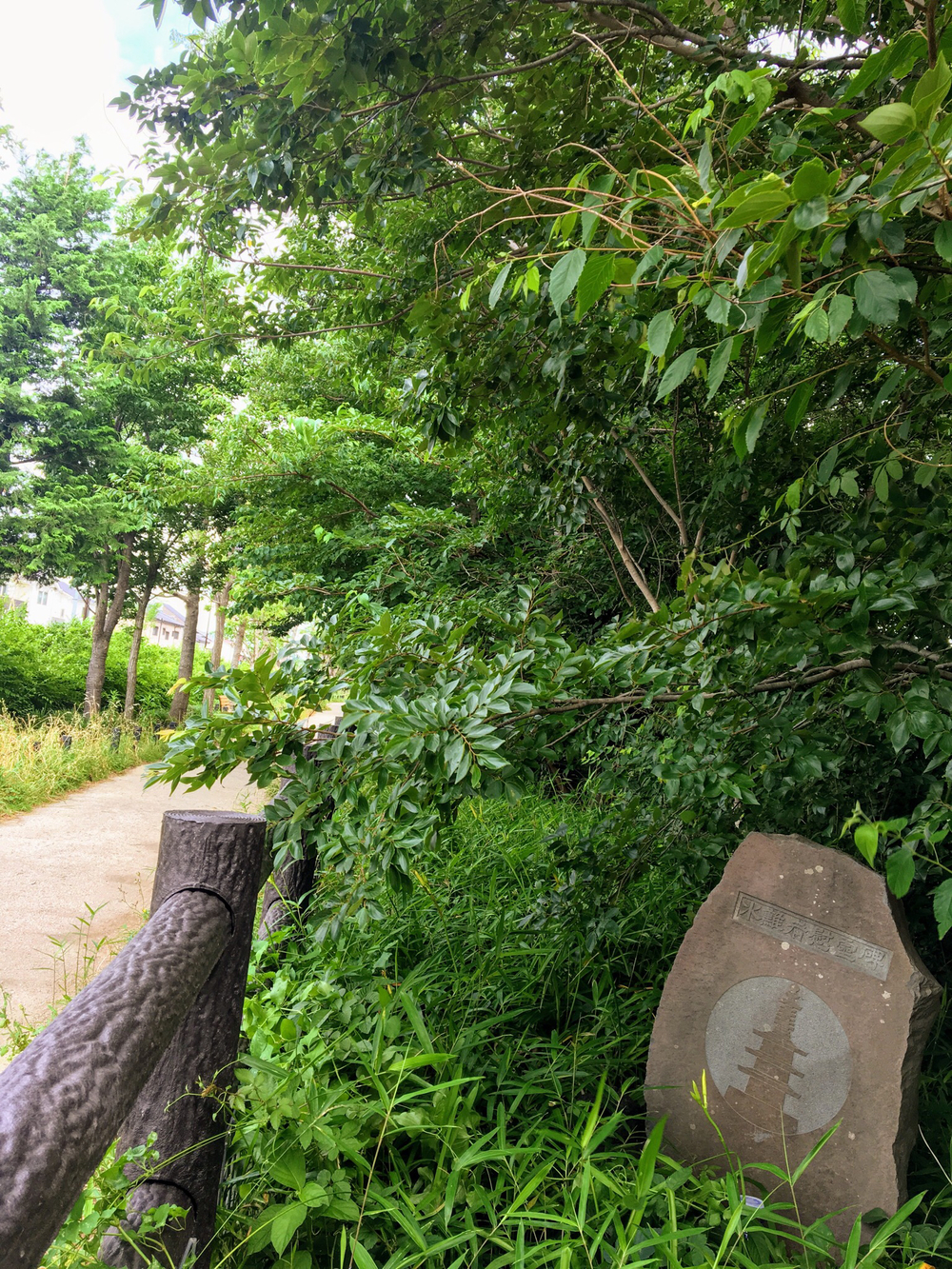 俺の武蔵野湧水弁天巡り、LSD28kmの写真18